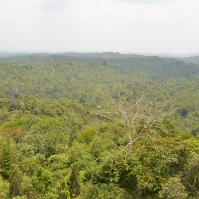 Habitat Restoration Program