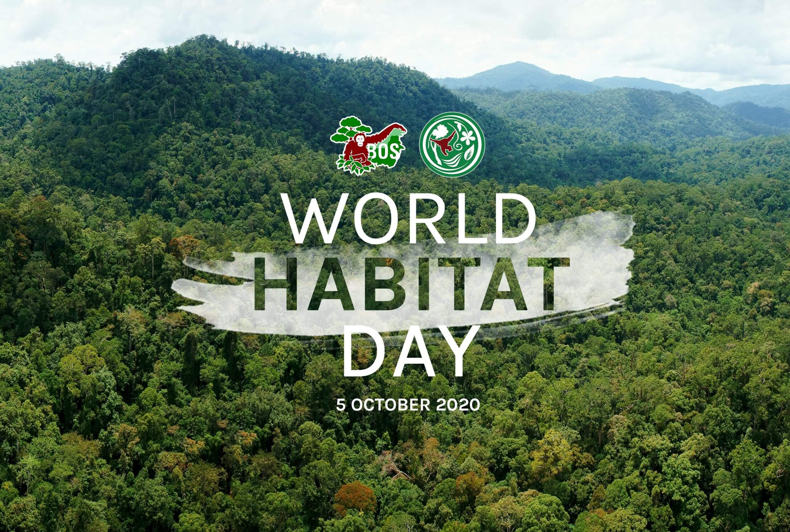 World Habitat Day 2020