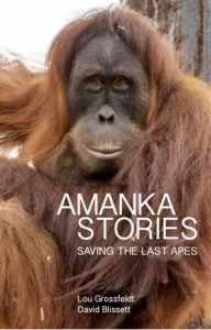Amanka Stories