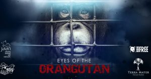 EYES OF THE ORANGUTAN