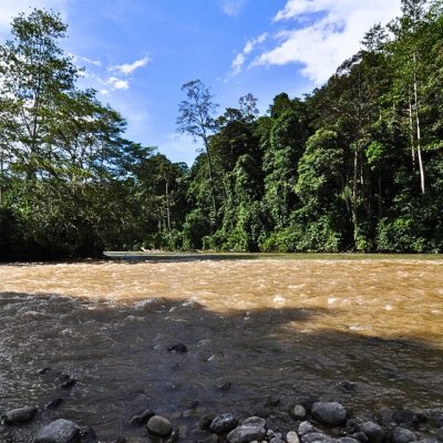 BIODIVERSITY IN THE KEHJE SEWEN FOREST