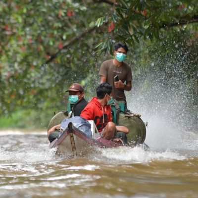 TEN MORE ORANGUTANS FREED