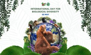 INTERNATIONAL DAY FOR BIOLOGICAL DIVERSITY 2024