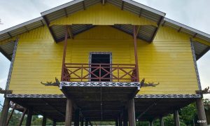 PEAKING INTO A LONGHOUSE