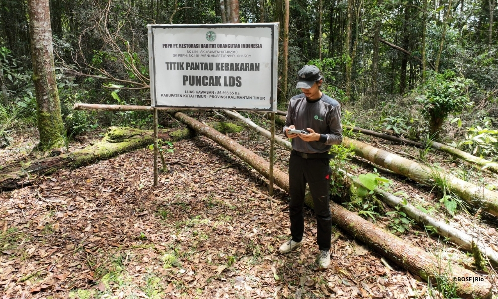 GUARDIANS OF THE FOREST