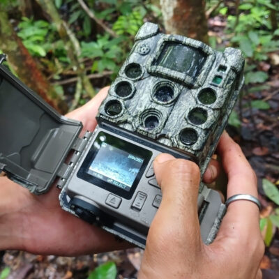 CAMERA TRAPS UNVEILING ABUNDANCE OF BIODIVERSITY
