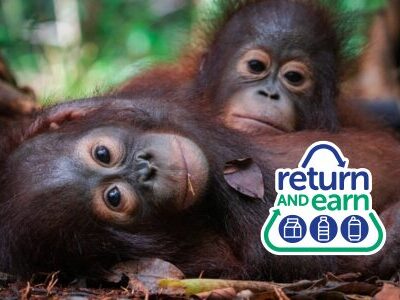 Recycle And Donate Your Refunds To Us