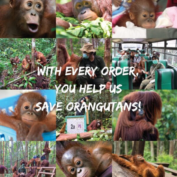 BOS Australia Orangutan Calendar 2026 - Image 3