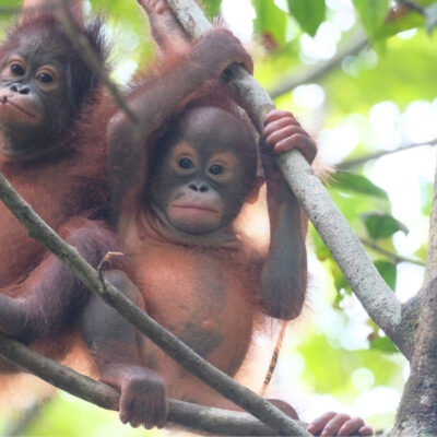 GROWING STRONGER TOGETHER