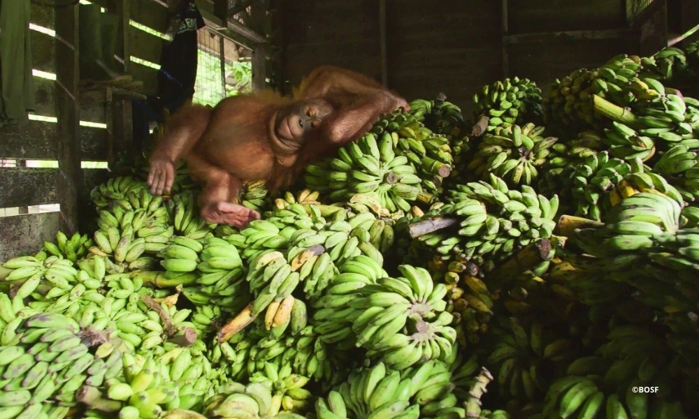 HELP US REUNITE OUR FAMILY THIS CHRISTMAS SEASON