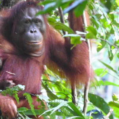 AGIS BRINGS EXCITING NEWS